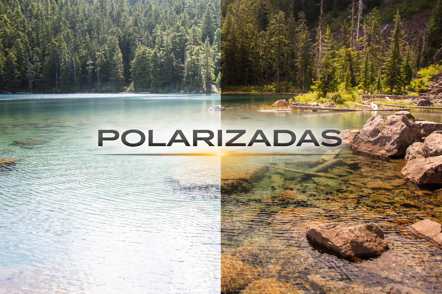 Polarizadas